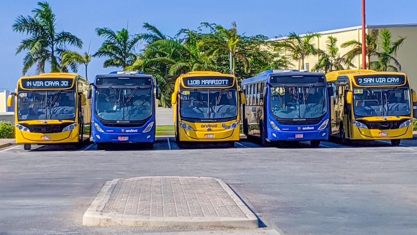 28. Public Transit - Getting Around by Bus - Image 1