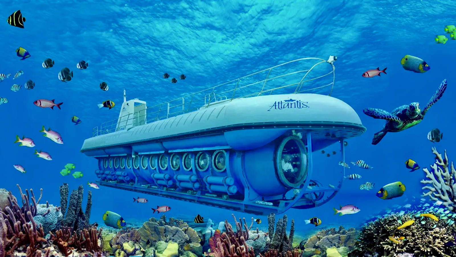 Atlantis Submarine Expedition - De Palm Tours - Image 1
