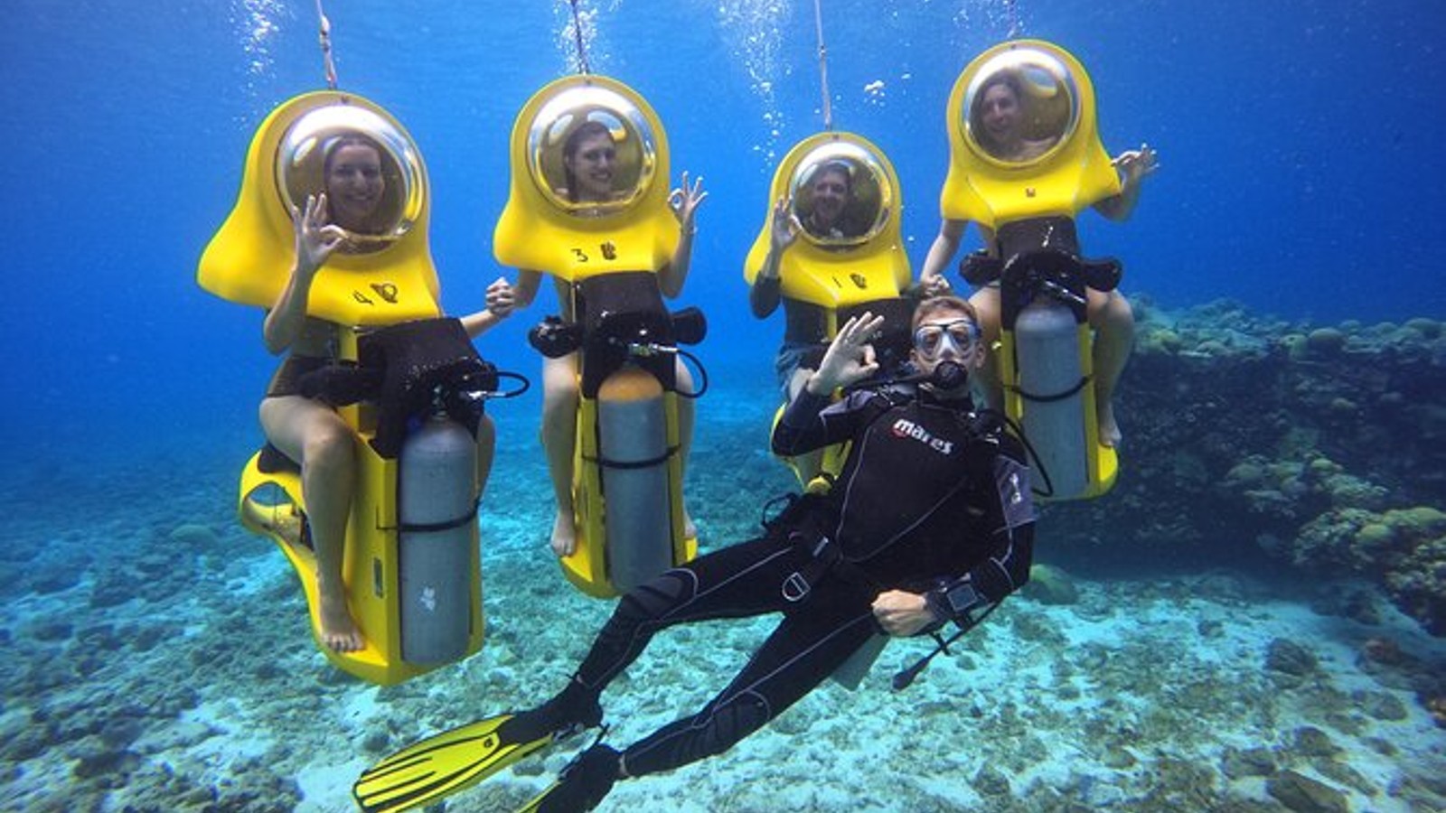 Aquafari - Image 3