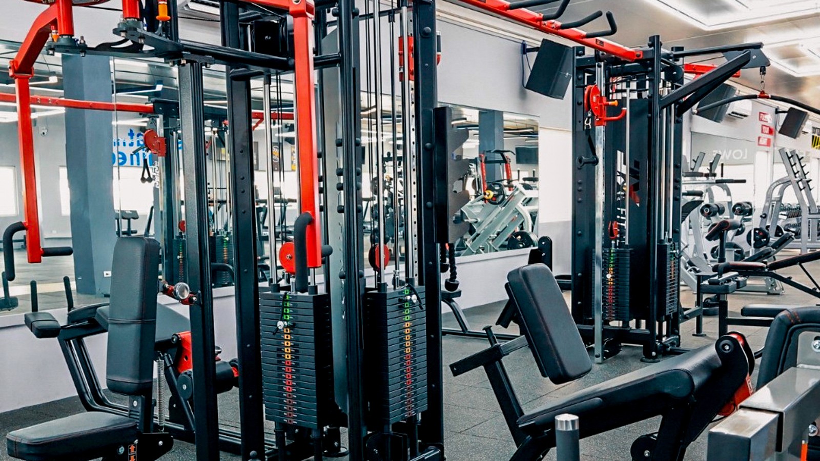 Body Evolution Fitness - Image 1
