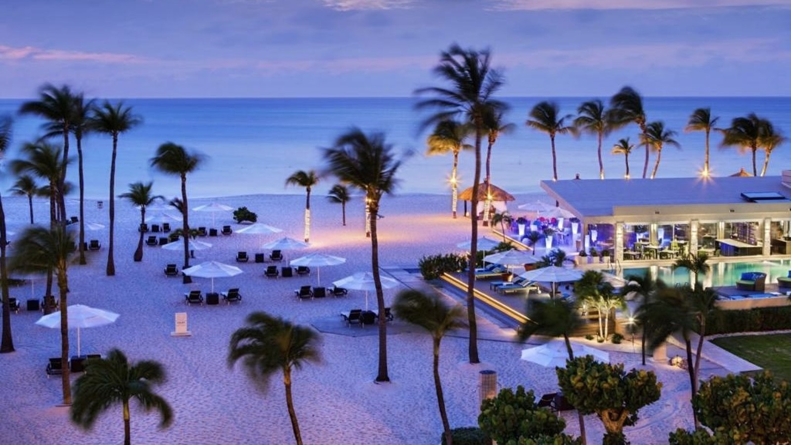 Bucuti & Tara Beach Resort (Adults-Only) - Image 3