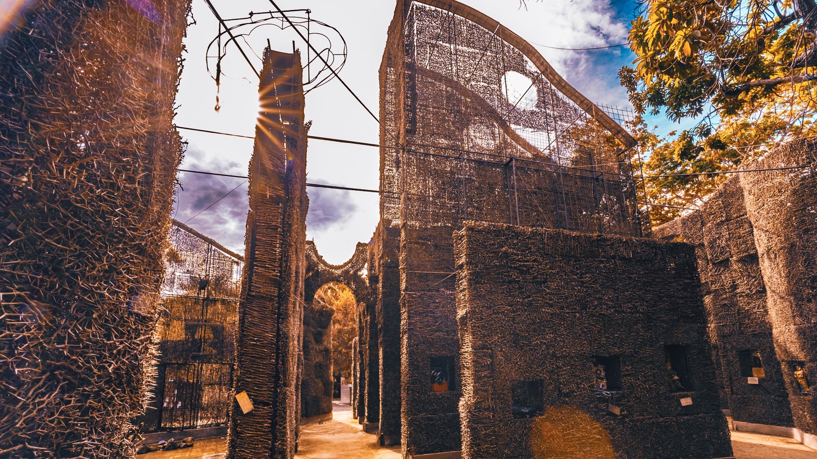 Cathedral of Thorns - Image 2
