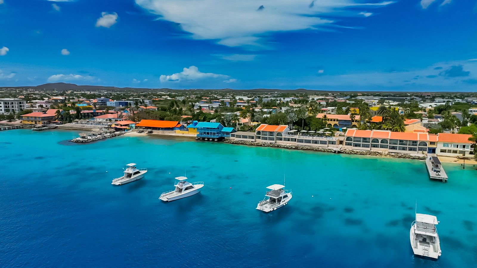 Divi Flamingo Beach Resort - Image 1