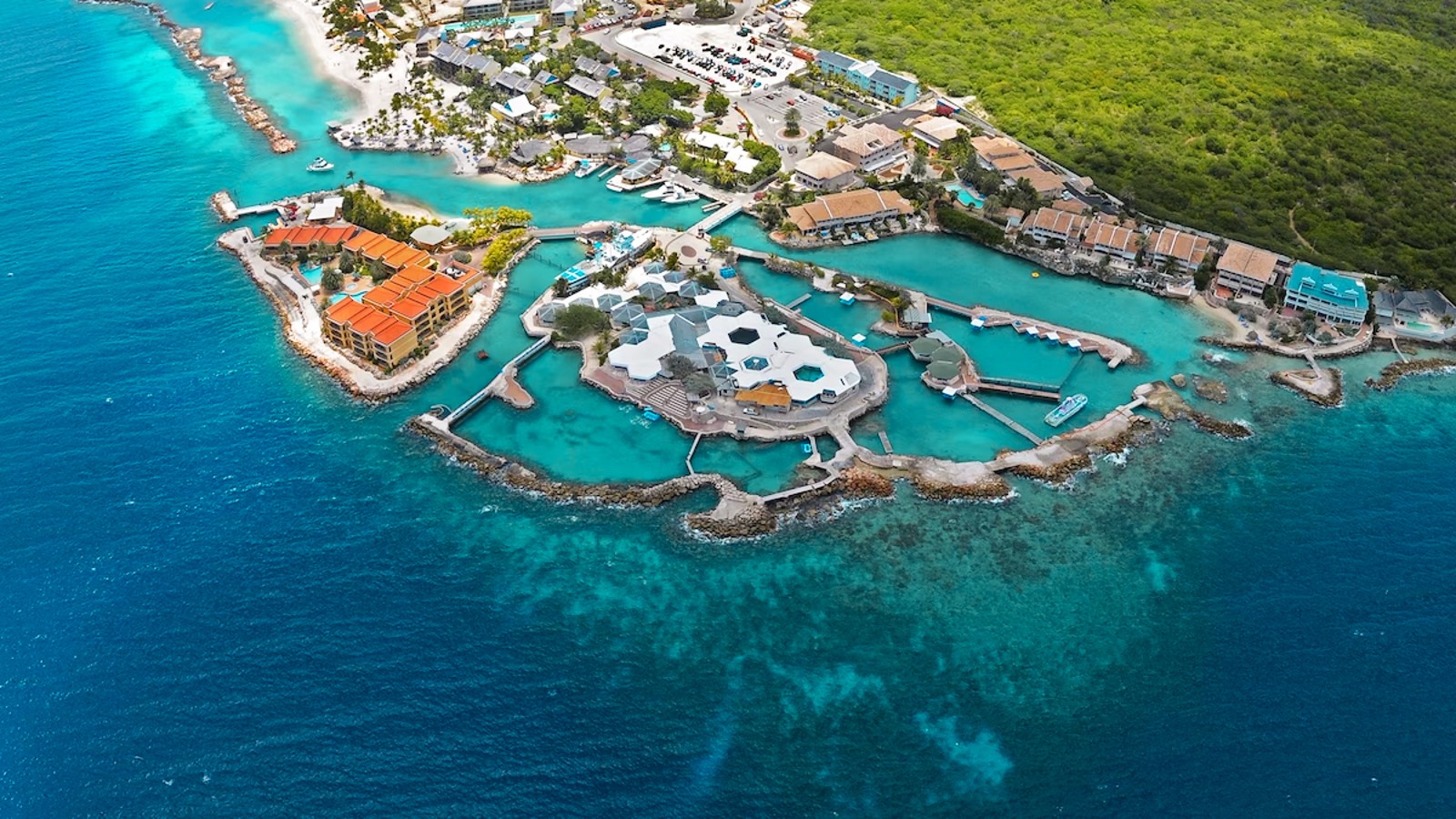 Dolphin Suites & Wellness - Image 1