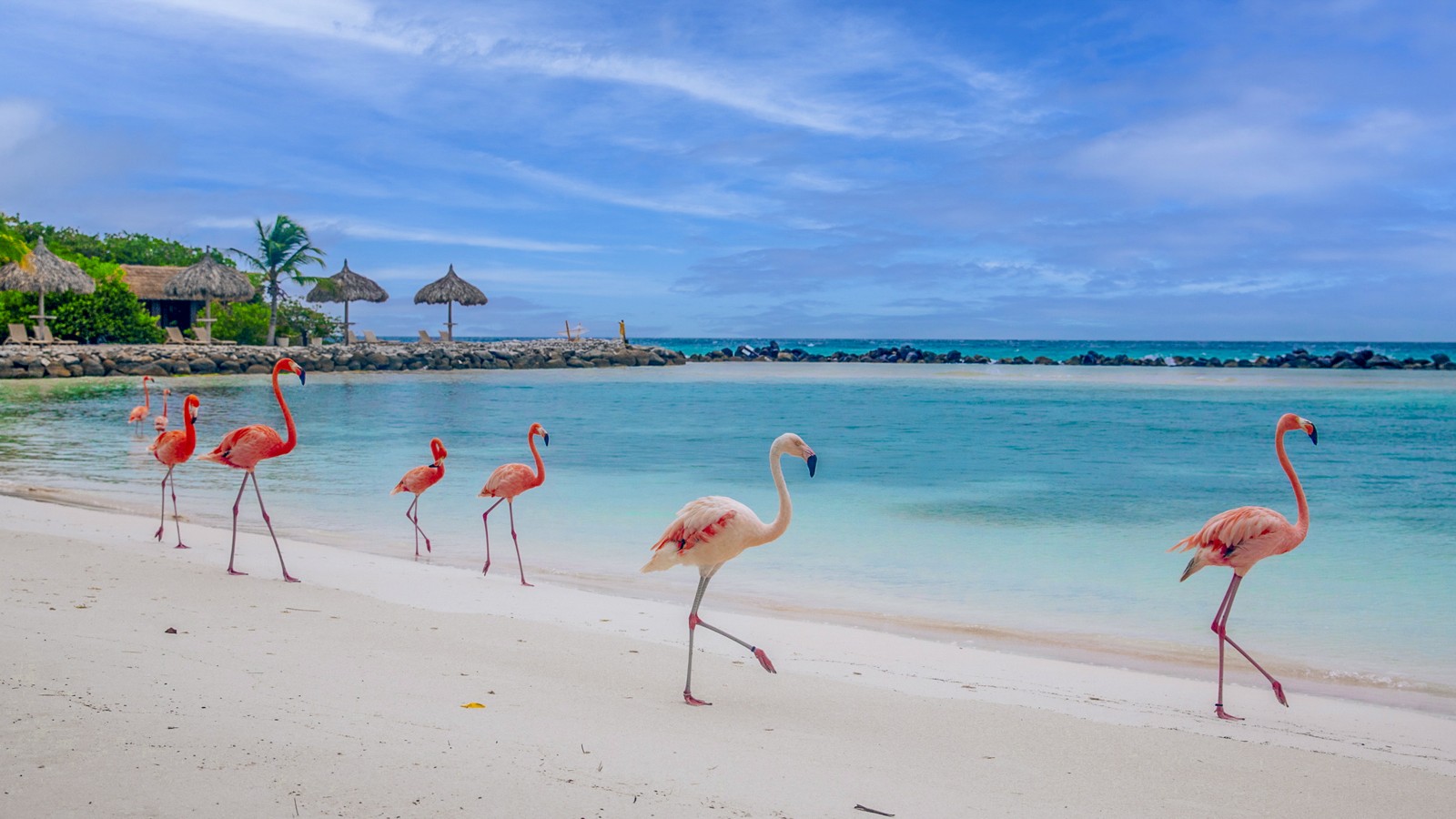 Flamingo Beach - Image 1