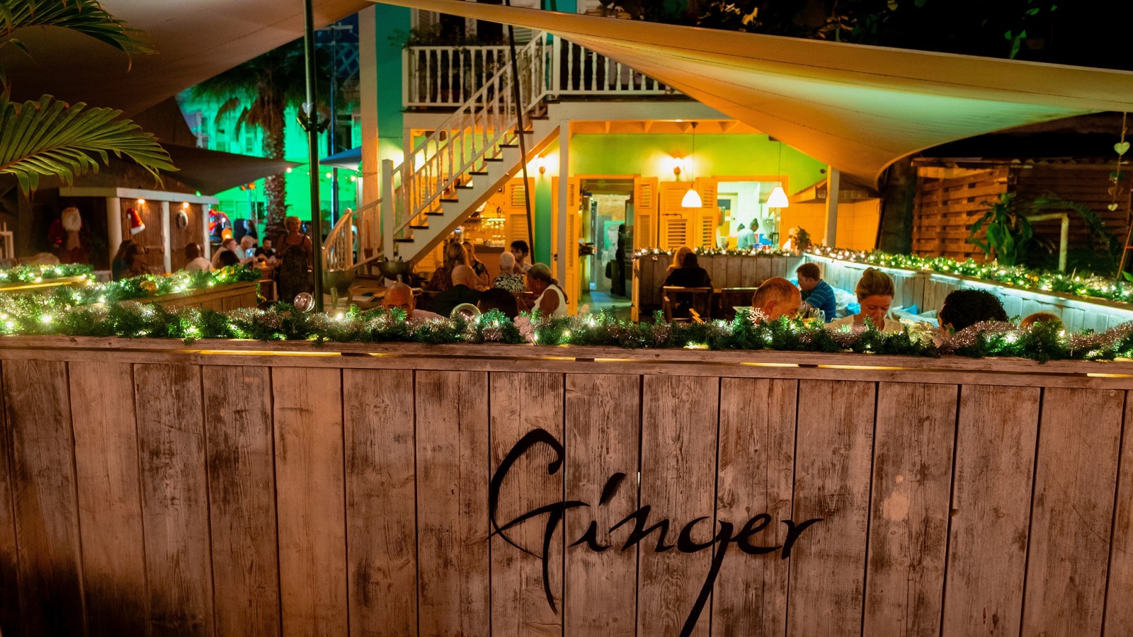 Ginger - Image 3