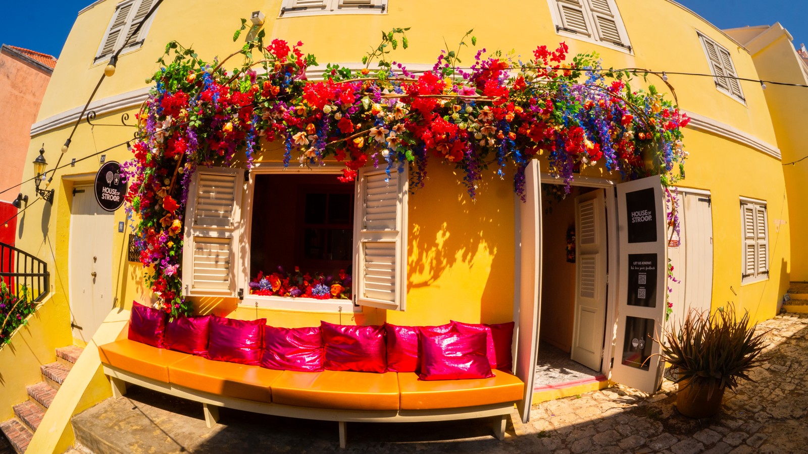 House of Stroop - Image 1