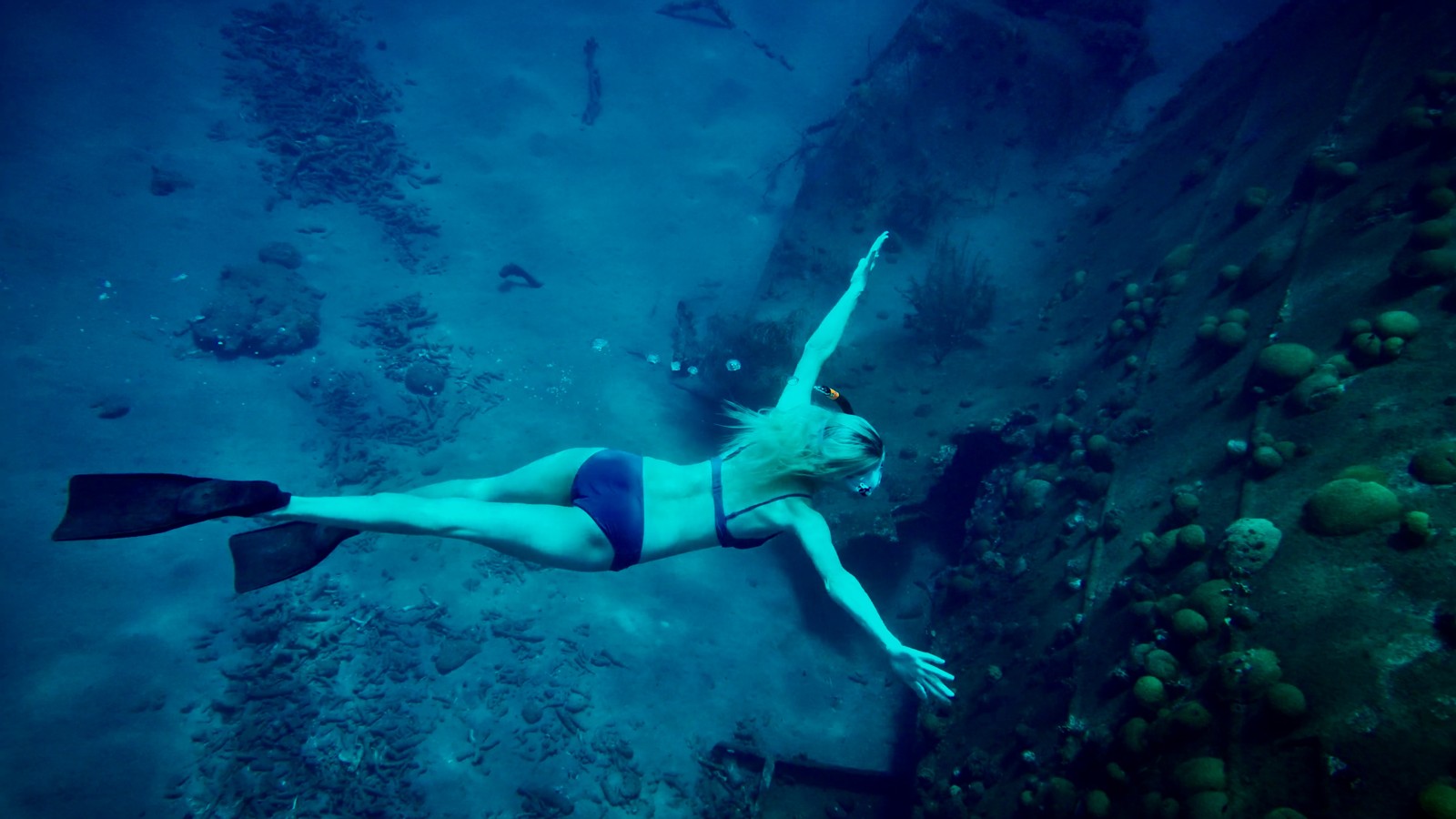 32. Swimming / Diving / Snorkeling - Image 1