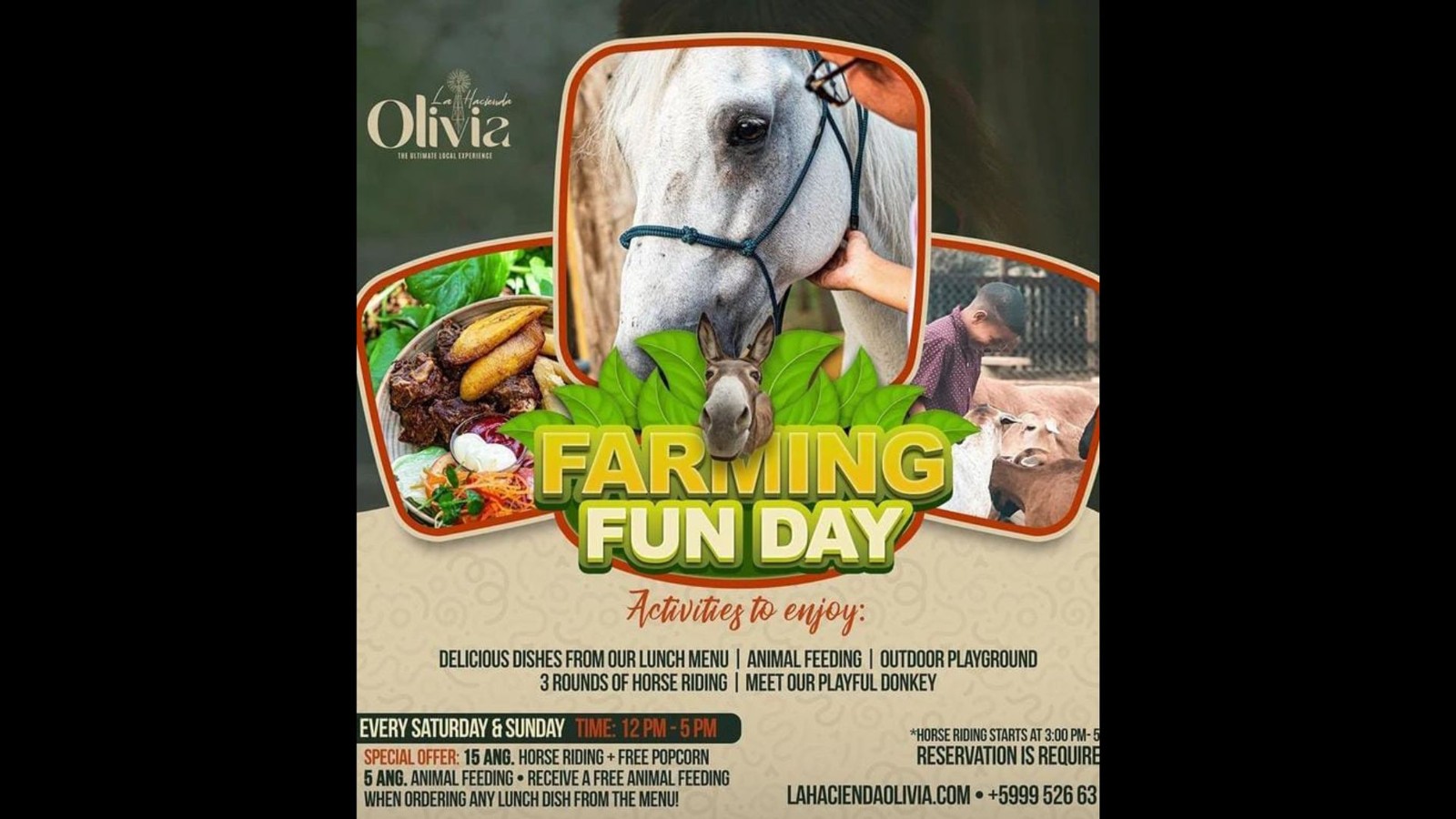 Farming Fun Day - Image 1