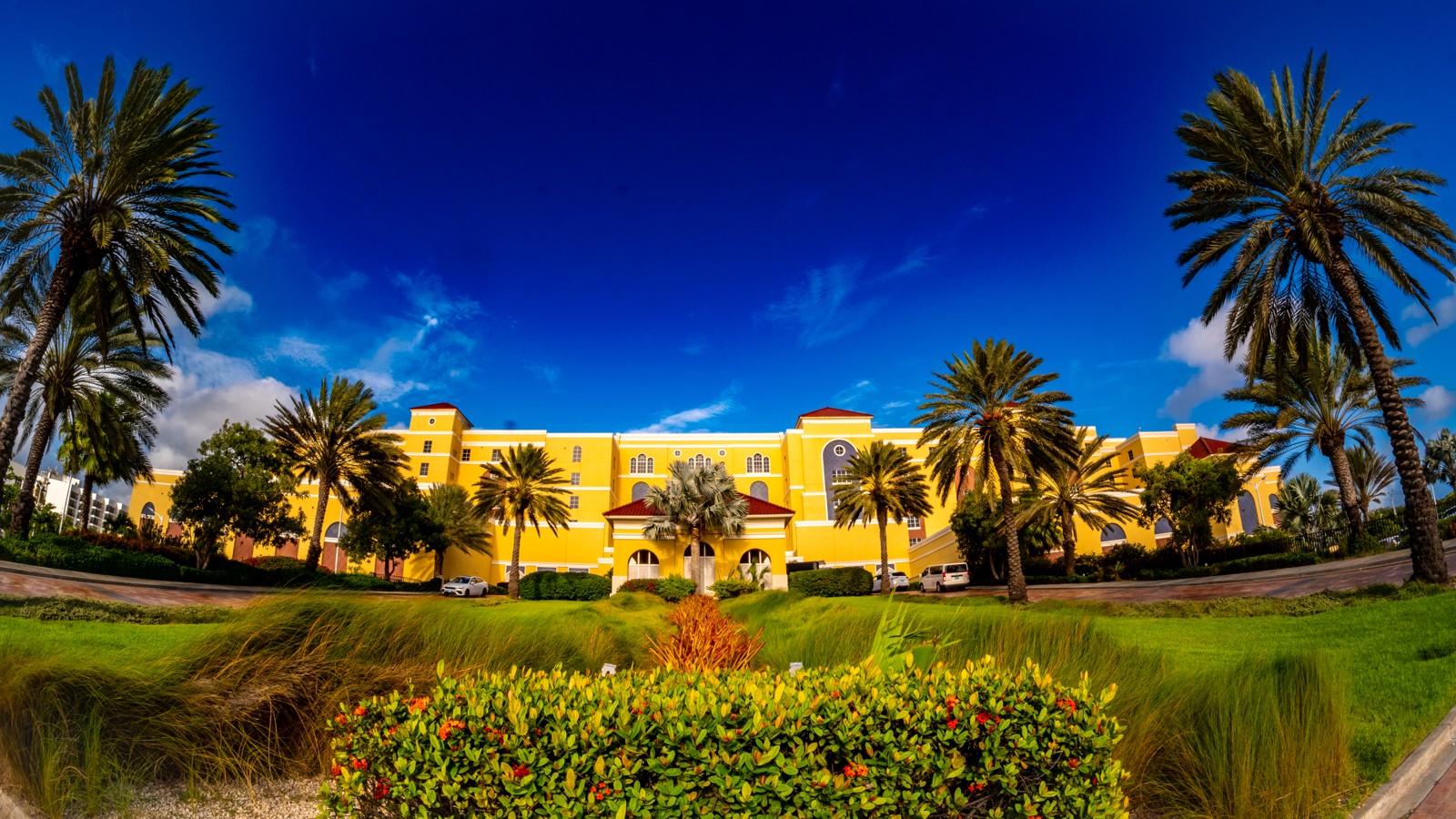 The Ritz-Carlton Aruba - Image 11