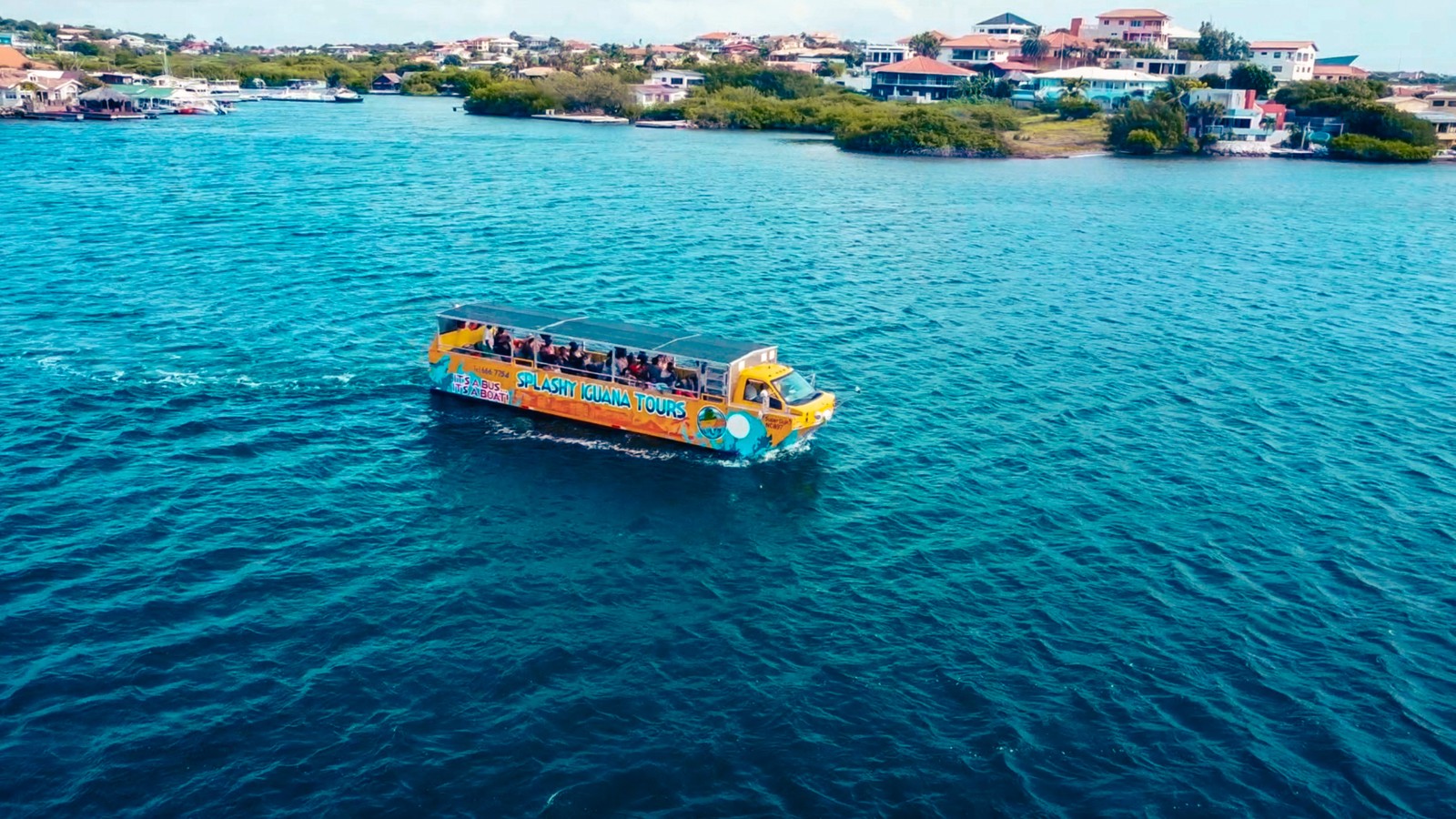 Splashy Iguana Tours - Image 1