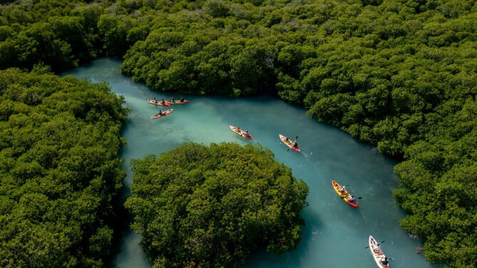 The Mangrove Center - Image 1