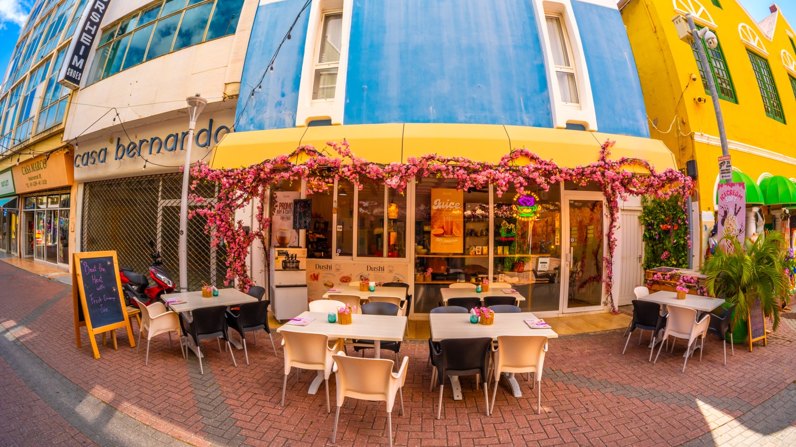 Dushi Meow Cafe - Image 2