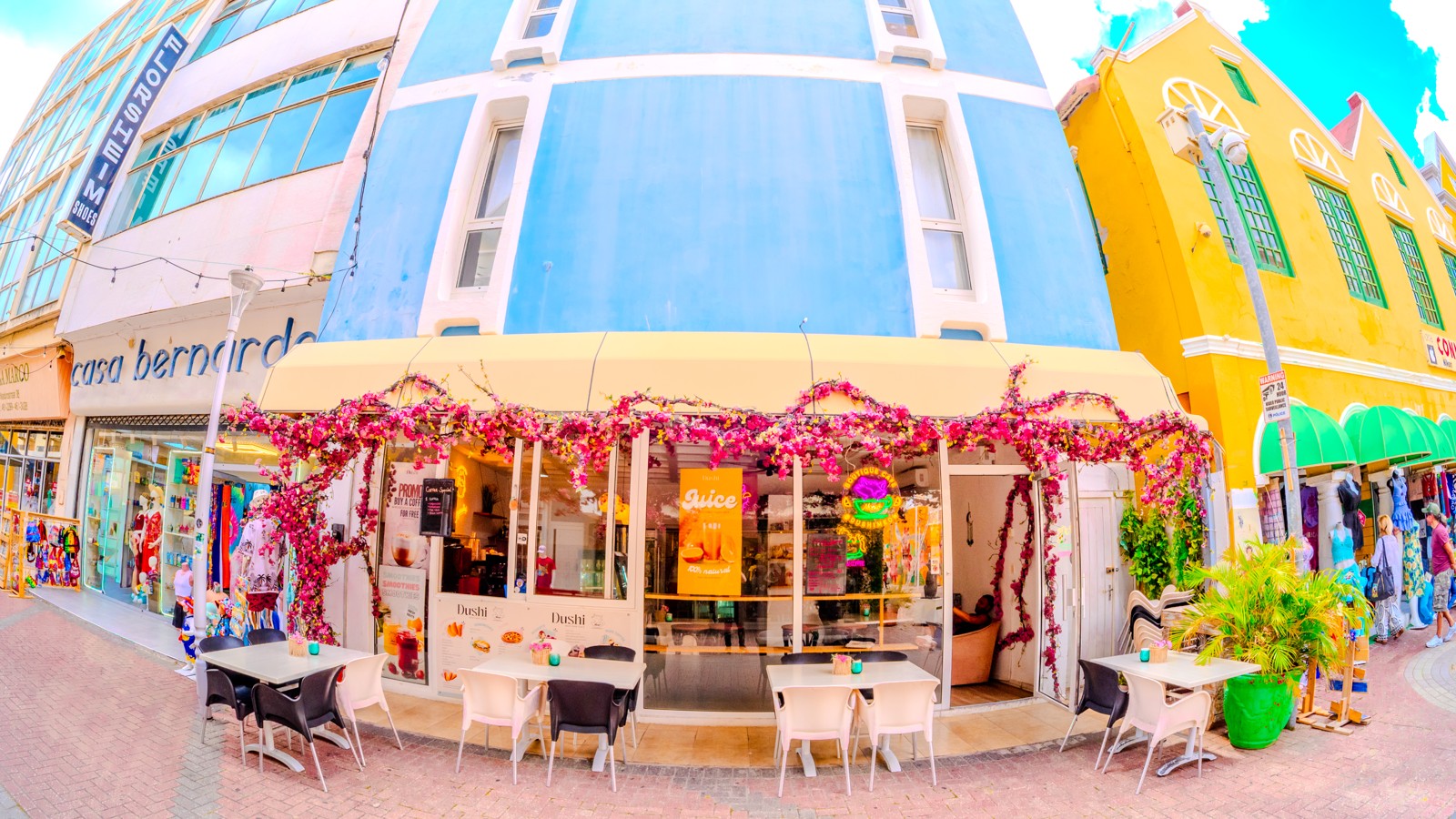 Dushi Meow Cafe - Image 1