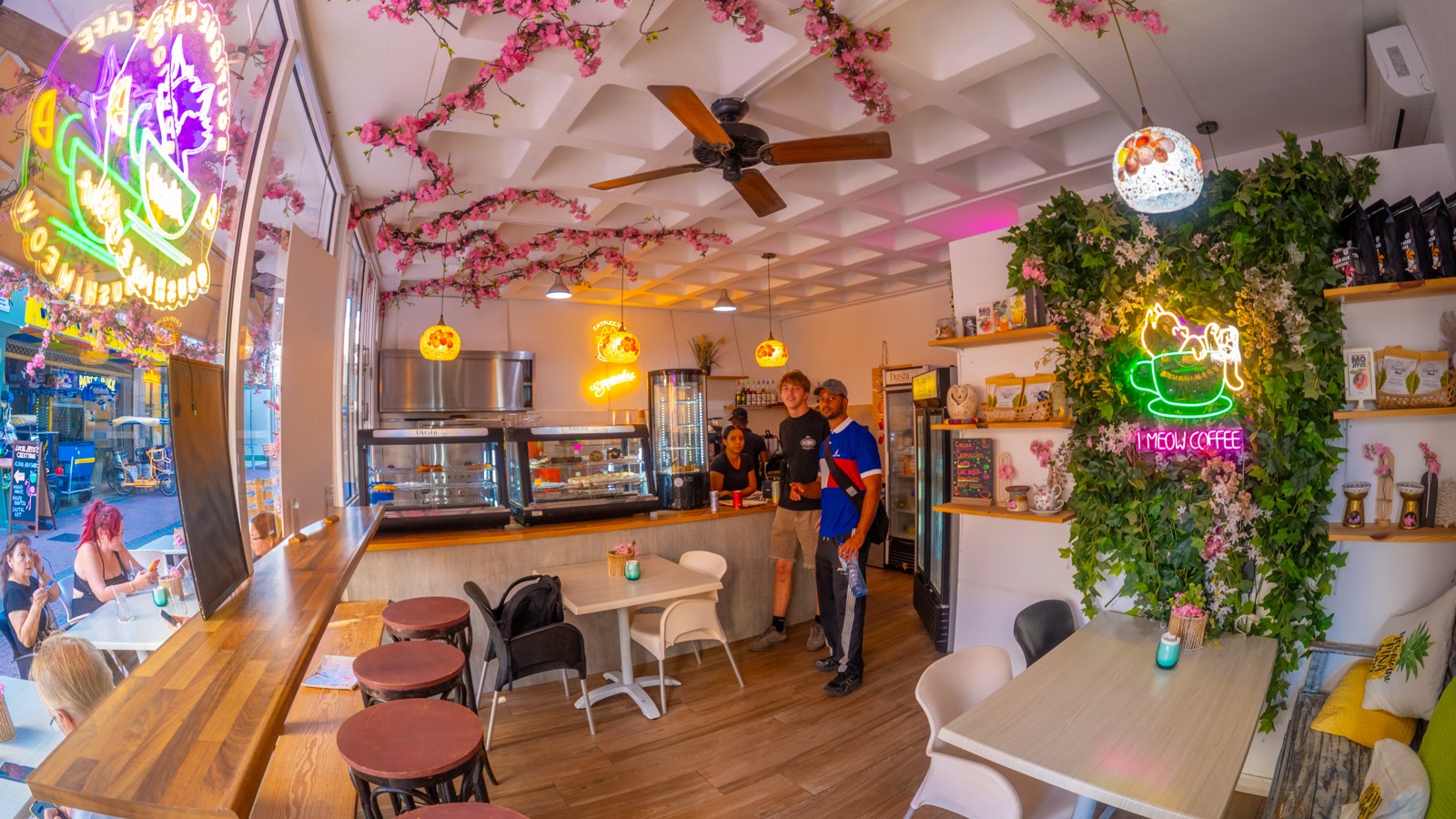 Dushi Meow Cafe - Image 2
