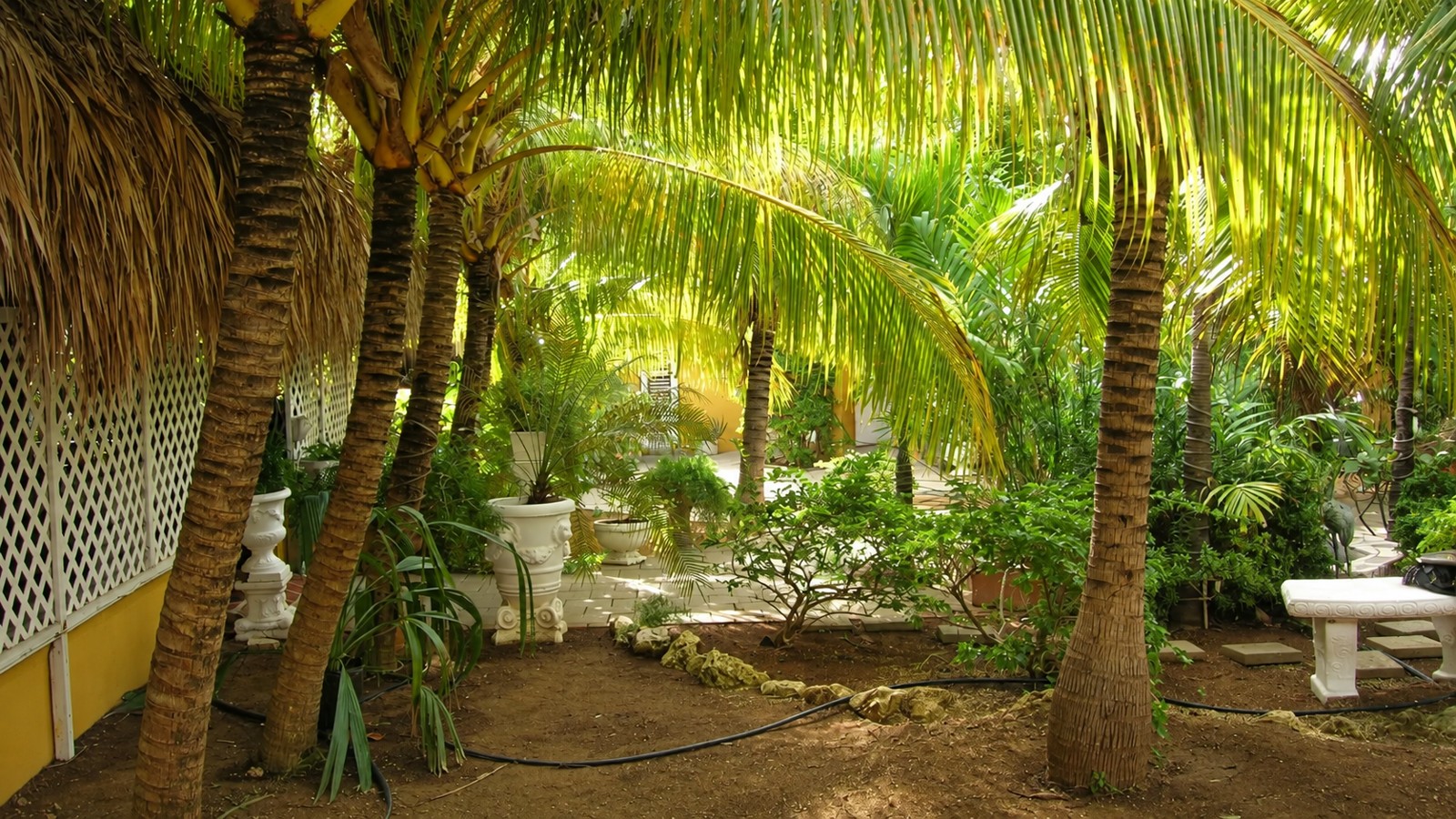 Green Recovery Space - Image 2