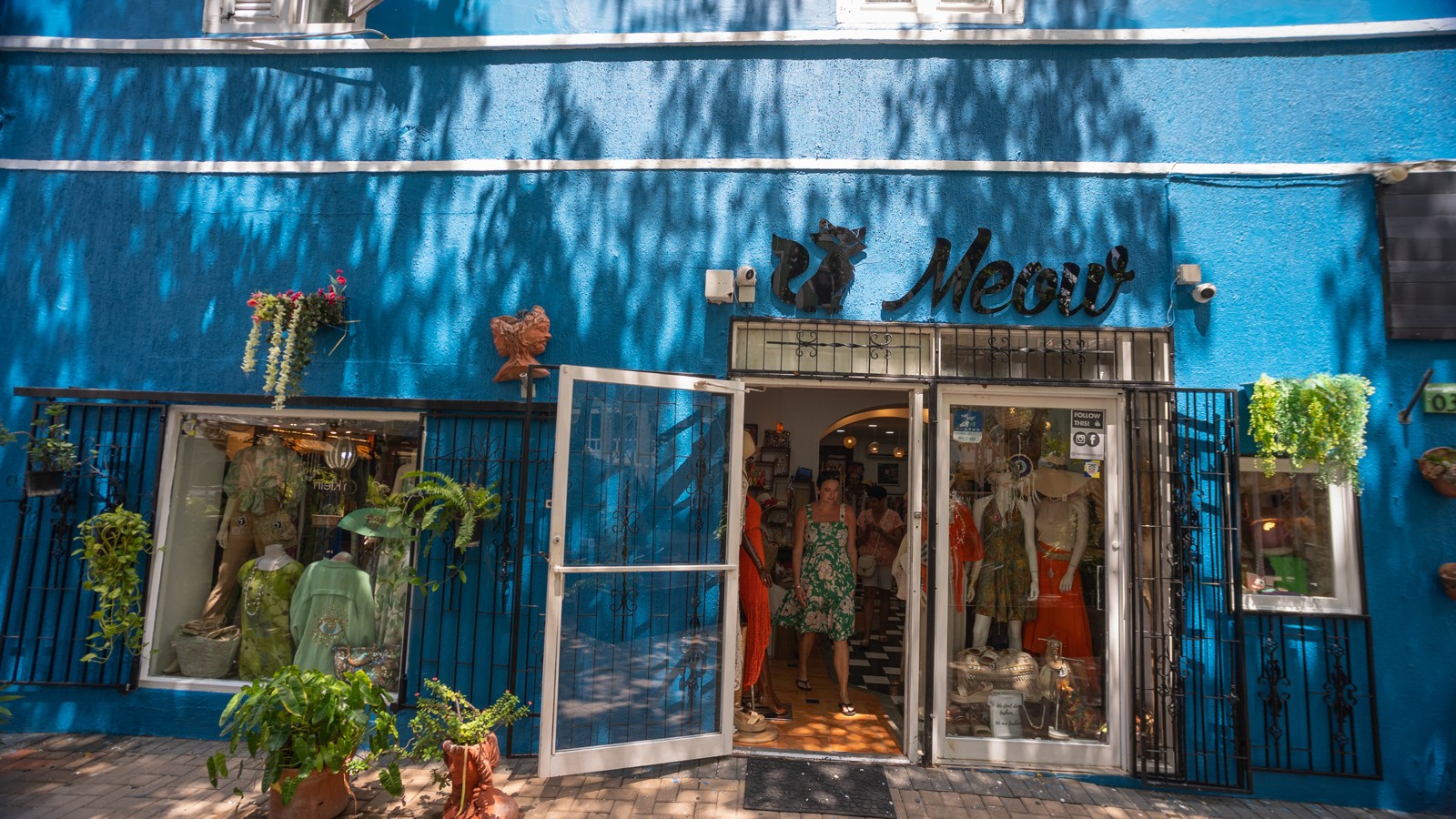 Meow Stores - Image 5