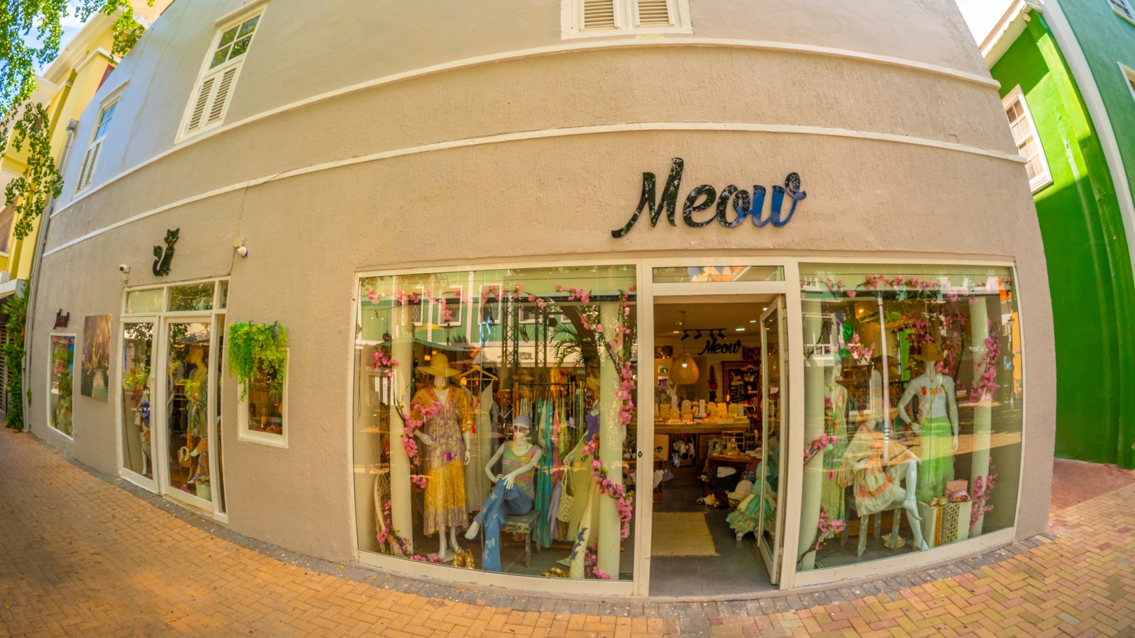 Meow Stores - Image 3