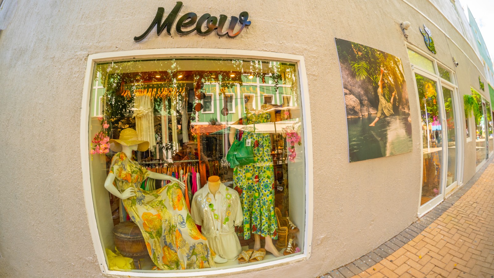 Meow Stores - Image 4
