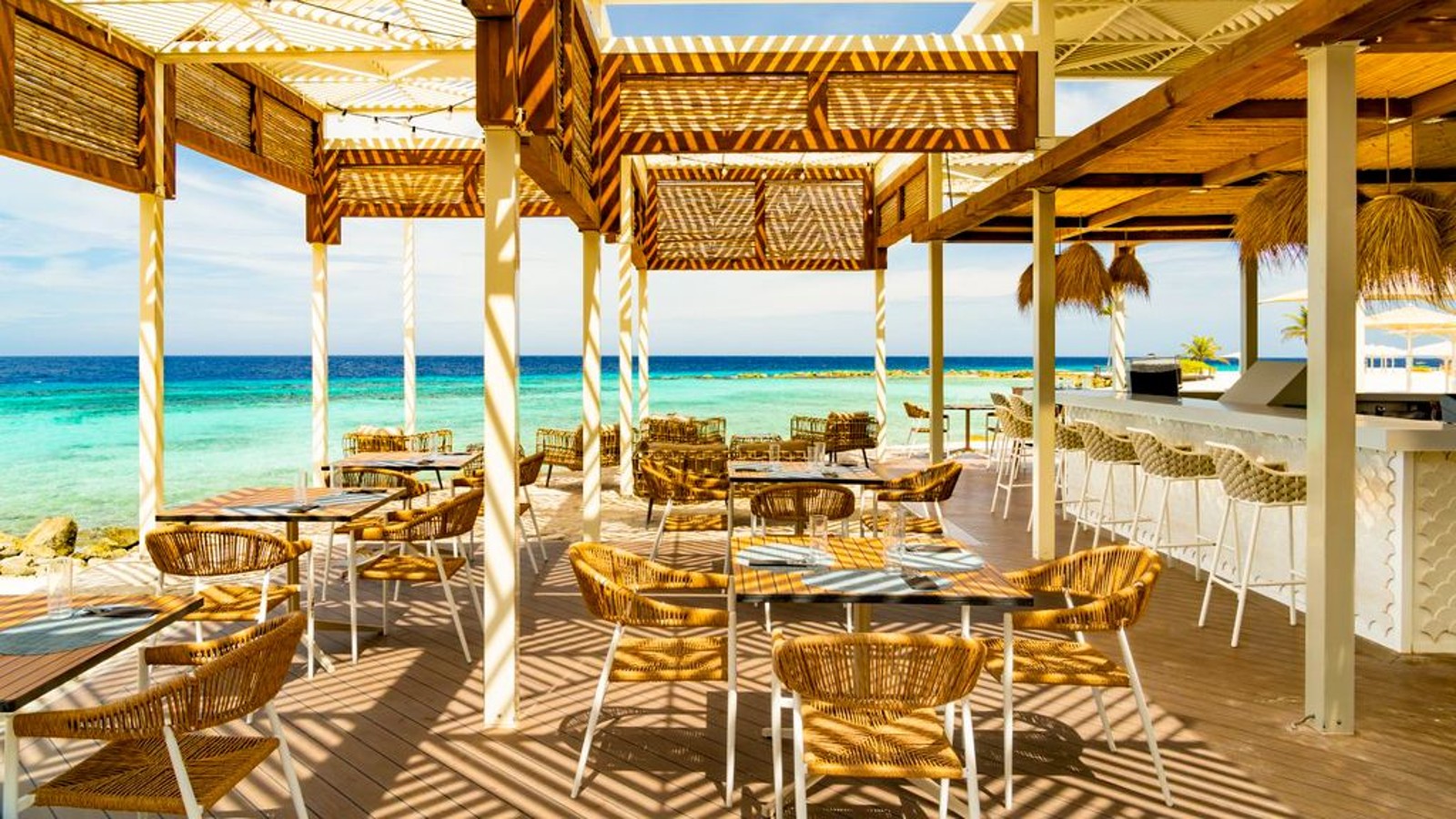 Salty Iguana / Salty at the Beach - Image 6