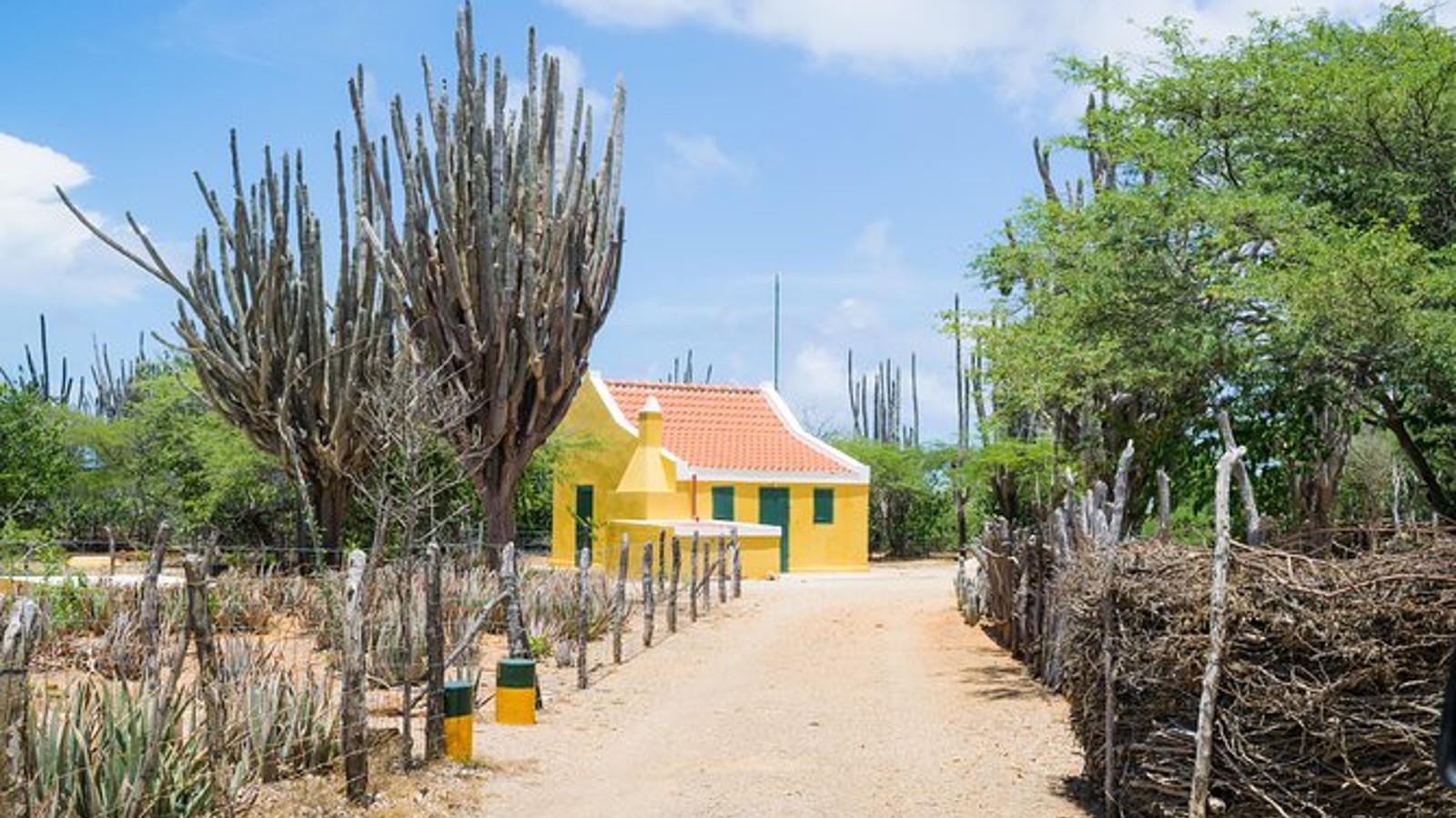 Bonaire Essentials Island Tour - Image 2