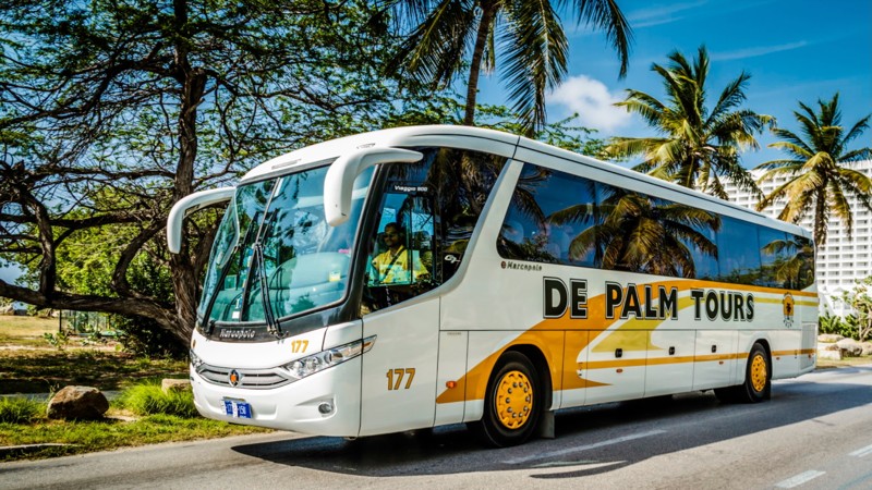 Bus Sightseeing Tour - De Palm Tours