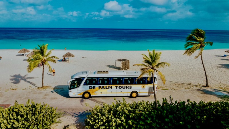Baby Beach Relax Tour - De Palm Tours