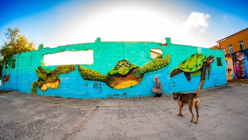 14. Aruba Street Art