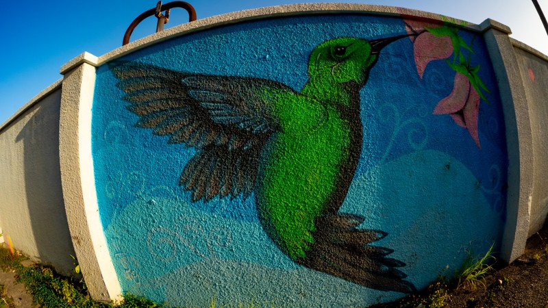28. Aruba Street Art