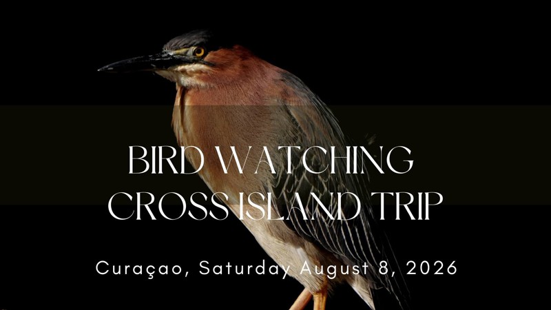 Bird Watching Cross Island Trip 3