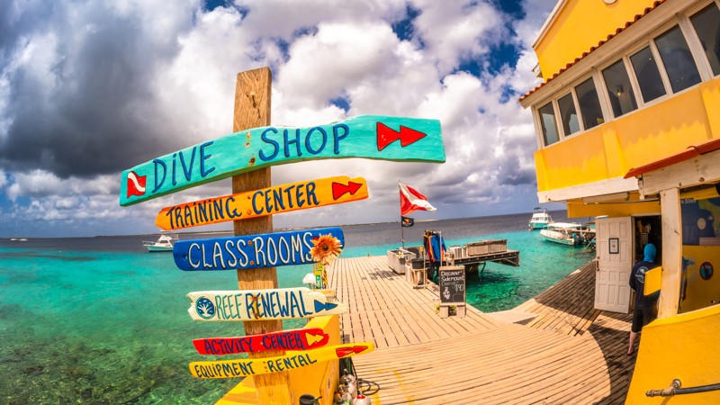 Diving image