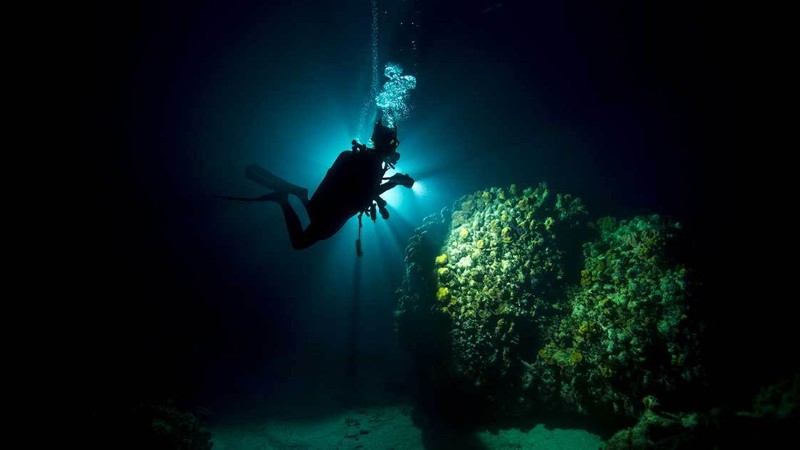 Fluorescent Night Dive (“Fireworks Dive”)