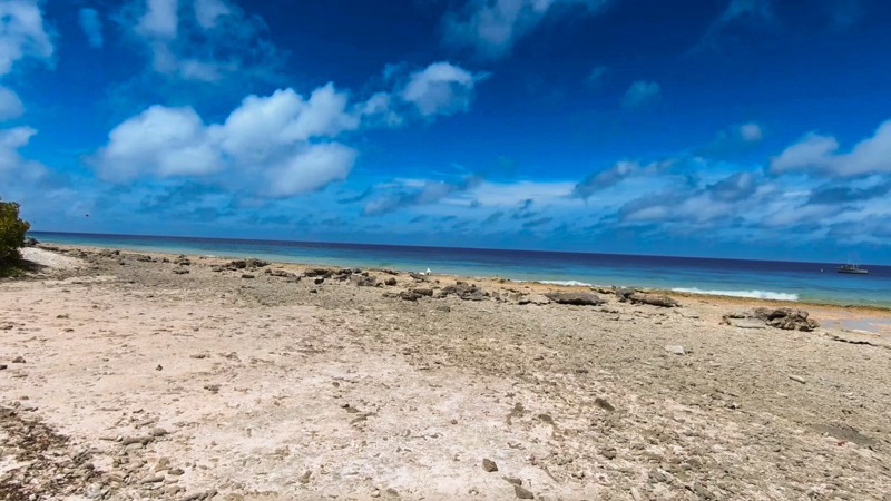Margate Bay
