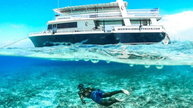 Mermaid Boat Trips