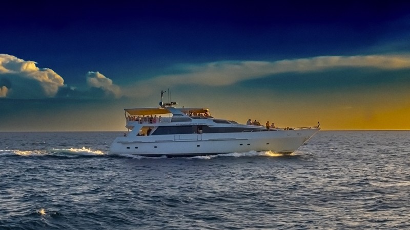 Miss Ann Boat Trips