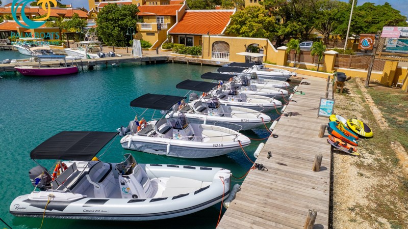 Palm Boats (Harbor Village Marina)