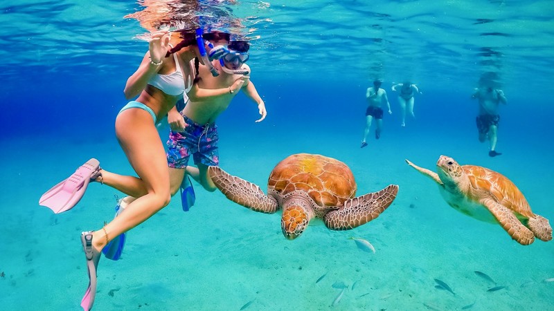 Beach & Snorkel Jeep Tour