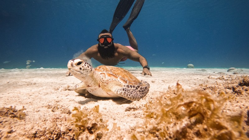 Seabob “Swim with Turtles” Safari