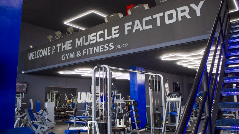 The Muscle Factory