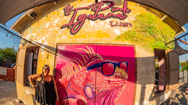 The Pink Iguana