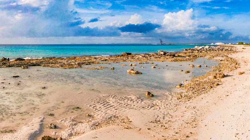 Tori’s Reef