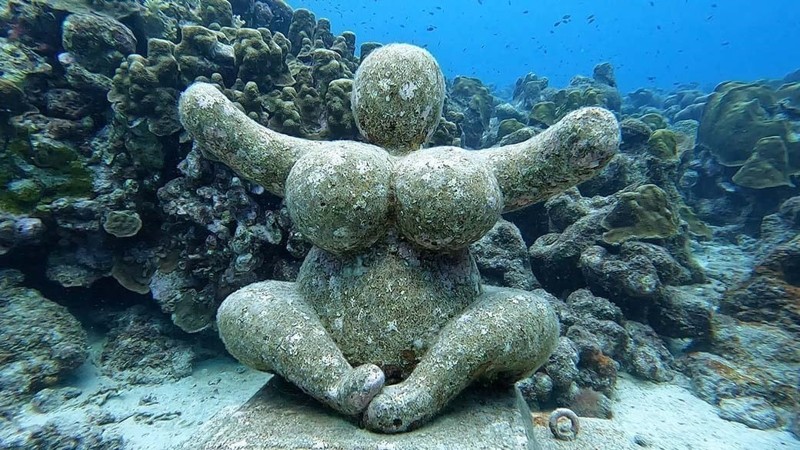 Underwater Chichi®