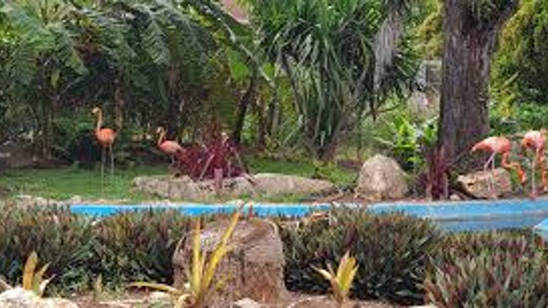 Curaçao Zoo & Botanical Garden