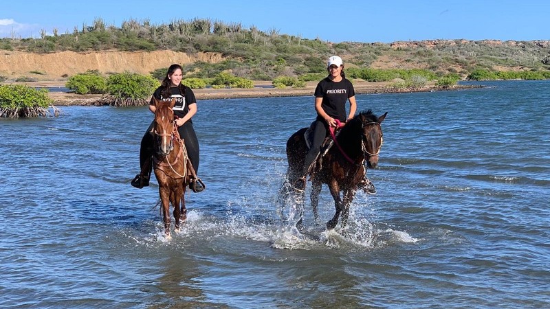 Horseback Beach Ride (Private)