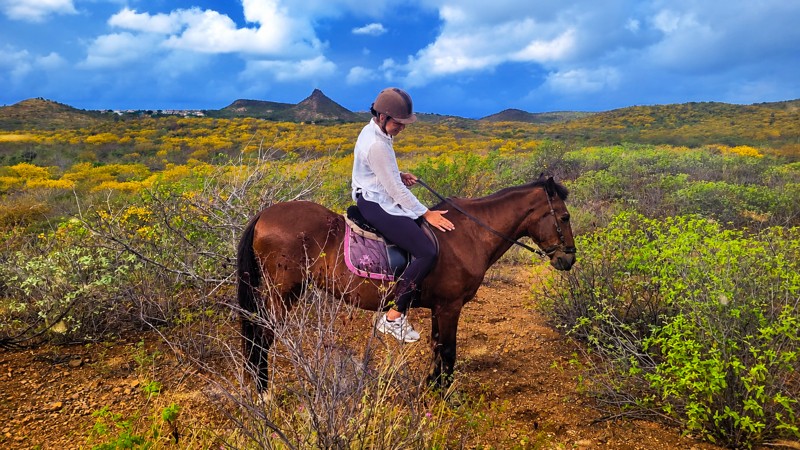 Rancho Alegre Horseback Trail Ride