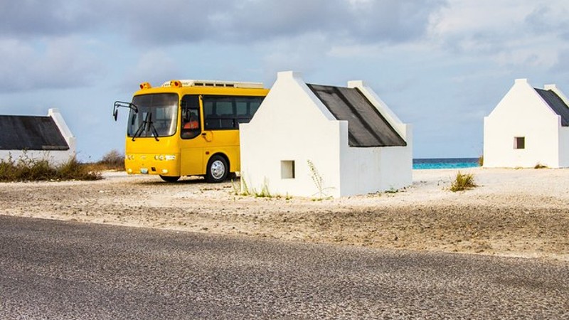 Highlights of Bonaire & Cultural Experience