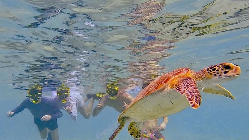 Amazing Bonaire