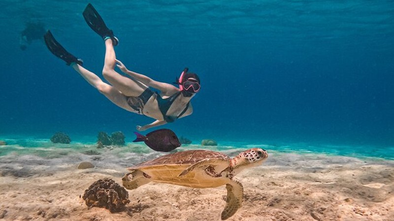 VIP Private Snorkeling Tour