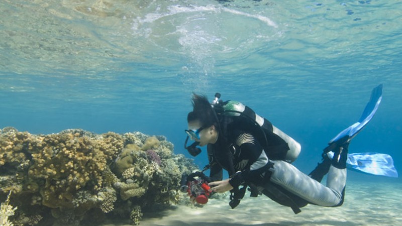 Introductory Scuba Dive (Shore Dive)