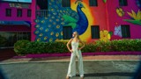 Thumbnail for Image 2
